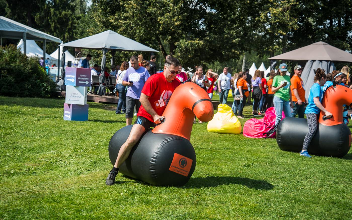 Конное двоеборье